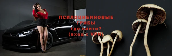 СК Балахна