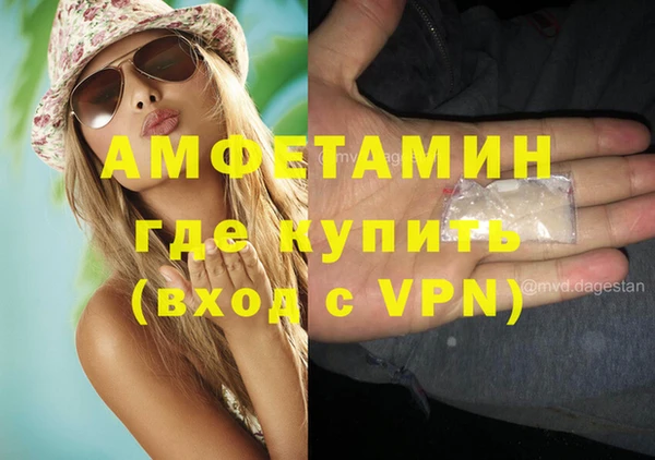 сатива Карпинск
