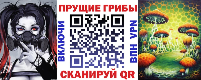 где купить наркоту  Семёнов  Псилоцибиновые грибы MAGIC MUSHROOMS 