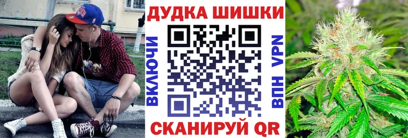 наркотики  Семёнов  Бошки марихуана ГИДРОПОН 